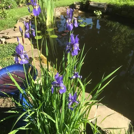 Bed and Breakfast Kell House 4*