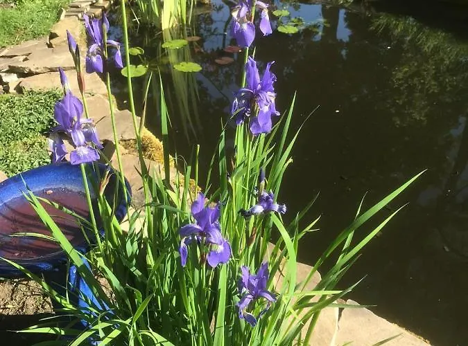 Bed & Breakfast Kell House 4*