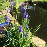 Bed & Breakfast Kell House 4*